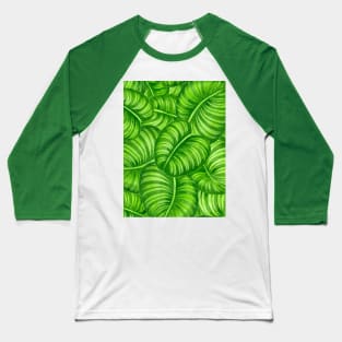 Calathea leaves Baseball T-Shirt